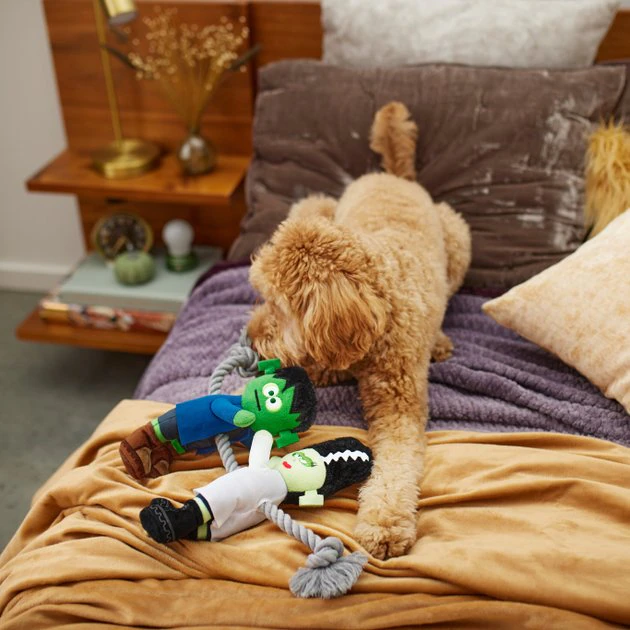 Frisco Frankenstein & Bride Plush with Rope Squeaky Dog Toy 5 Frisco Frankenstein & Bride Plush with Rope Squeaky Dog Toy - Image 3