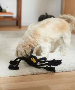 Frisco Halloween Spider Rope Dog Toy -Dog Cat Corner 270504 PT3. SY630 V1624825021