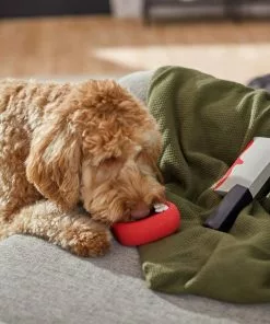 Frisco Halloween Vampire Teeth & Knife Latex Squeaky Dog Toy, 2 count 7 Frisco Halloween Vampire Teeth & Knife Latex Squeaky Dog Toy, 2 count -Dog Cat Corner 270512 PT3. SY630 V1624817093