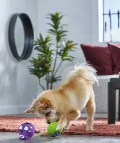 Frisco Halloween Sugar Skulls Latex Squeaky Dog Toy, 2 count -Dog Cat Corner 270518 PT3. SY630 V1624825050