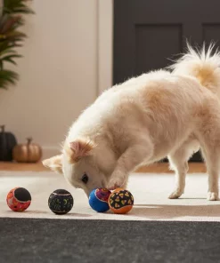 Frisco Halloween Glow in the Dark Fetch Squeaky Tennis Ball Dog Toy, 4 count -Dog Cat Corner 270525 PT3. SY630 V1624824980