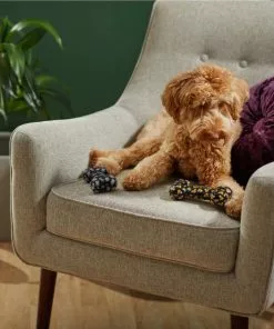 Frisco Halloween Candy Corn & Ghosts TPR Bone Squeaky Dog Toy, 2 count -Dog Cat Corner 270529 PT3. SY630 V1624817291