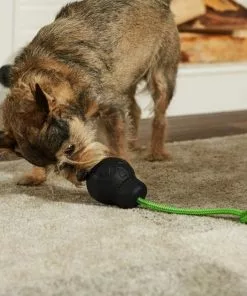 Frisco Skull with Rope Rubber Dog Toy -Dog Cat Corner 270531 PT3. SY630 V1624817785