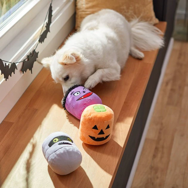 Frisco Halloween Haunted Friends Plush Squeaky Dog Toy, 3 count 5 Frisco Halloween Haunted Friends Plush Squeaky Dog Toy, 3 count - Image 3