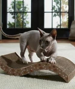 Frisco Camping S'mores Wave Cat Scratcher Cat Toy -Dog Cat Corner 270979 PT3. SY630 V1625009125
