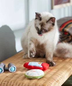 Frisco Camping Compass & Lantern Plush Cat Toy with Catnip, 2 count -Dog Cat Corner 270985 PT3. SY630 V1625009053