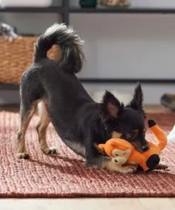 Frisco Camping Fox Plush Squeaky Dog Toy 7 Frisco Camping Fox Plush Squeaky Dog Toy -Dog Cat Corner 270993 PT3. SY630 V1625008975
