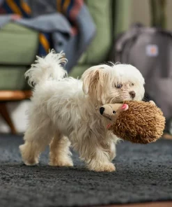 Frisco Camping Hedgehog Plush Squeaky Dog Toy -Dog Cat Corner 270995 PT3. SY630 V1625009251