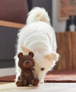 Frisco Camping Bear Plush Squeaky Dog Toy -Dog Cat Corner 270999 PT3. SY630 V1625009284