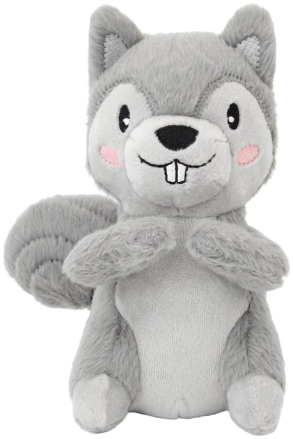 Frisco Camping Squirrel Plush Squeaky Dog Toy 3 Frisco Camping Squirrel Plush Squeaky Dog Toy
