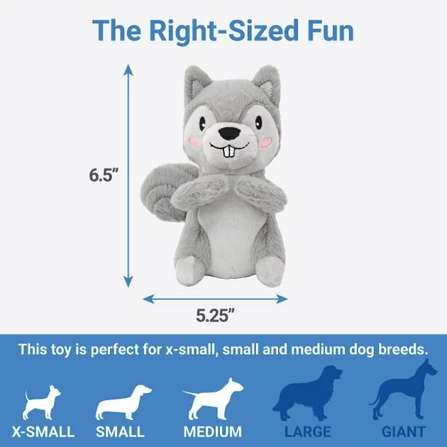 Frisco Camping Squirrel Plush Squeaky Dog Toy 4 Frisco Camping Squirrel Plush Squeaky Dog Toy - Image 2