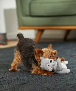 Frisco Camping Squirrel Plush Squeaky Dog Toy 7 Frisco Camping Squirrel Plush Squeaky Dog Toy -Dog Cat Corner 271001 PT3. SY630 V1625009206