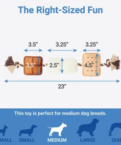 Frisco Camping S'mores Plush with Rope Squeaky Dog Toy 6 Frisco Camping S'mores Plush with Rope Squeaky Dog Toy -Dog Cat Corner 271011 PT1. SY630 V1626368483