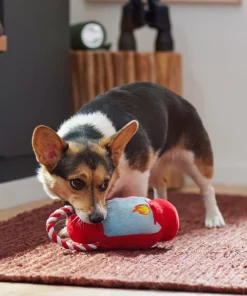 Frisco Camping Lantern Plush with Rope Squeaky Dog Toy -Dog Cat Corner 271013 PT3. SY630 V1625160766