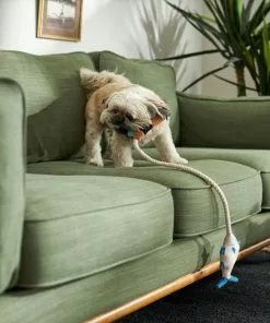 Frisco Camping Fishing Rod Plush with Rope Squeaky Dog Toy -Dog Cat Corner 271015 PT3. SY630 V1625009036