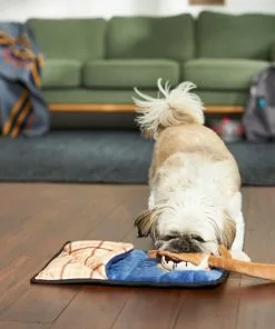 Frisco Camping Smores & Sleeping Bag Flat Plush Squeaky Dog Toy, 2 count 7 Frisco Camping Smores & Sleeping Bag Flat Plush Squeaky Dog Toy, 2 count -Dog Cat Corner 271018 PT3. SY630 V1625009010