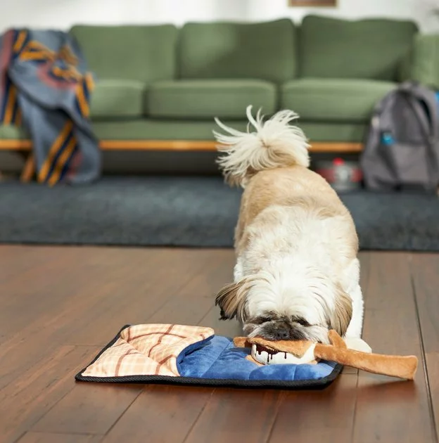 Frisco Camping Smores & Sleeping Bag Flat Plush Squeaky Dog Toy, 2 count 5 Frisco Camping Smores & Sleeping Bag Flat Plush Squeaky Dog Toy, 2 count - Image 3