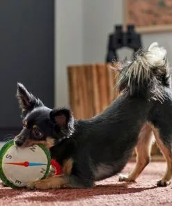 Frisco Camping Compass Plush with Rope Squeaky Dog Toy 7 Frisco Camping Compass Plush with Rope Squeaky Dog Toy -Dog Cat Corner 271020 PT3. SY630 V1625008965