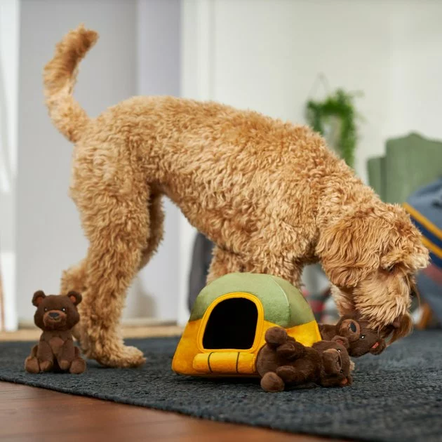 Frisco Camping Tent Hide & Seek Plush Squeaky Dog Toy 6 Frisco Camping Tent Hide & Seek Plush Squeaky Dog Toy - Image 4