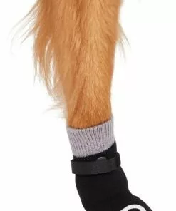 Frisco Non-Skid Dog Socks, Black -Dog Cat Corner 272491 PT3. SY630 V1634828935