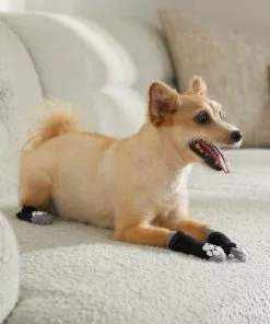 Frisco Non-Skid Dog Socks, Black -Dog Cat Corner 272491 PT8. SY630 V1634830475