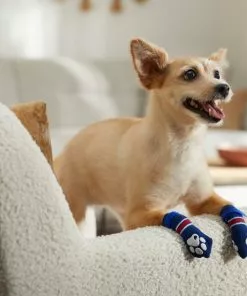 Frisco Non-Skid Navy Dog Socks, Red & White Stripe -Dog Cat Corner 272499 PT8. SY630 V1634830361