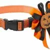 Frisco Orange Glitter Dog Collar with Pumpkin Ribbon