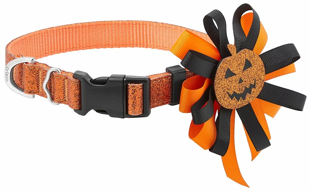 Frisco Orange Glitter Dog Collar with Pumpkin Ribbon 3 Frisco Orange Glitter Dog Collar with Pumpkin Ribbon