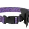 Frisco Purple Bat Wing Dog Collar with Wings 1 Frisco Purple Bat Wing Dog Collar with Wings -Dog Cat Corner 272852 MAIN. SY630 V1624046568