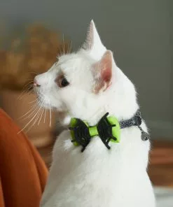 Frisco Spiderweb Cat Collar with Spiderweb Bow -Dog Cat Corner 272864 PT8. SY630 V1623879489
