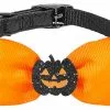 Frisco Black Glitter Cat collar with Pumpkin Bow -Dog Cat Corner 272866 MAIN. SY630 V1624047482