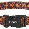 Frisco Spooky Pumpkin Dog Collar -Dog Cat Corner 272878 MAIN. SY630 V1624047448