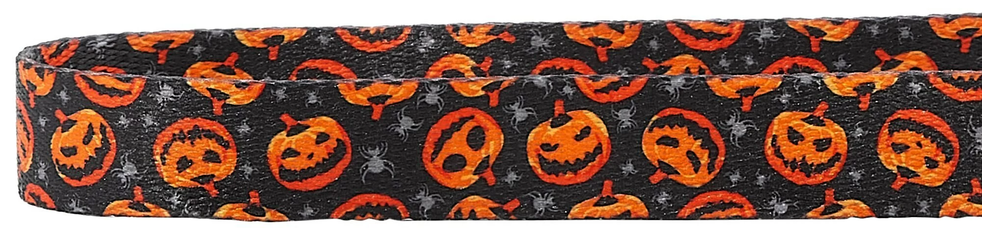 Frisco Spooky Pumpkin Dog Collar 5 Frisco Spooky Pumpkin Dog Collar - Image 3