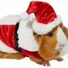 Frisco Santa Claus Guinea Pig Costume, One Size