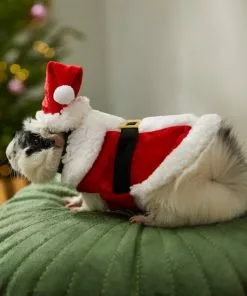 Frisco Santa Claus Guinea Pig Costume, One Size 13 Frisco Santa Claus Guinea Pig Costume, One Size -Dog Cat Corner 276178 PT8. SY630 V1631302737