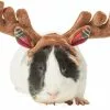 Frisco Holiday Antlers Guinea Pig Headpiece -Dog Cat Corner 276182 MAIN. SY630 V1631303077