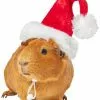 Frisco Holiday Guinea Pig Santa Hat -Dog Cat Corner 276184 MAIN. SY630 V1631302641