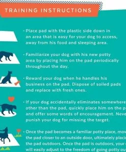 Frisco Training & Potty Pads, 22-in x 23-in, 150 count, Unscented & Frisco Extra Large Training & Potty Pads, 28-in x 34-in, 40 count, Unscented -Dog Cat Corner 276223 PT8. SY630 V1616191304