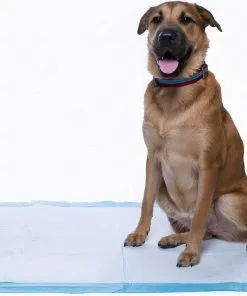 Frisco Giant Training & Potty Pads, 27.5-in x 44-in, 30 count, Unscented & Frisco Training & Potty Pads, 22-in x 23-in, 150 count, Unscented -Dog Cat Corner 276225 PT4. SY630 V1616192497