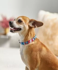 Frisco Blue Tye Dye Dog Collar -Dog Cat Corner 276625 PT3. SY630 V1623766221