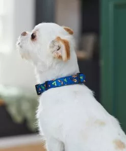 Frisco Camping Fun Dog Collar -Dog Cat Corner 276637 PT3. SY630 V1623766574