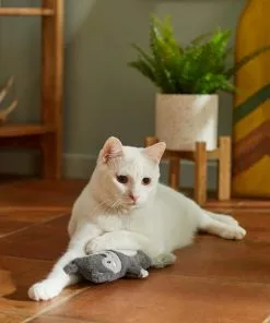 Frisco Camping Squirrel Kicker Cat Toy with Catnip -Dog Cat Corner 276760 PT3. SY630 V1625009108