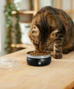 Frisco Travel Non-skid Stainless Steel Dog & Cat Bowl -Dog Cat Corner 277499 PT3. SY630 V1630348135