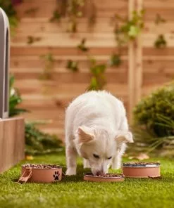 Frisco Complete Travel Stainless Steel Dog & Cat Feeder Bowl 11 Frisco Complete Travel Stainless Steel Dog & Cat Feeder Bowl -Dog Cat Corner 277506 PT2. SY630 V1630346239