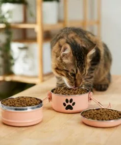 Frisco Complete Travel Stainless Steel Dog & Cat Feeder Bowl 12 Frisco Complete Travel Stainless Steel Dog & Cat Feeder Bowl -Dog Cat Corner 277506 PT3. SY630 V1630347802