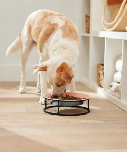 Frisco Elevated Non-skid Stainless Steel Dog & Cat Bowl 10 Frisco Elevated Non-skid Stainless Steel Dog & Cat Bowl -Dog Cat Corner 277523 PT2. SY630 V1630346993