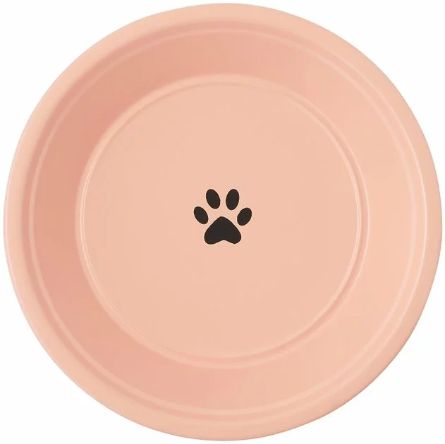 Frisco Elevated Non-skid Stainless Steel Dog & Cat Bowl 6 Frisco Elevated Non-skid Stainless Steel Dog & Cat Bowl - Image 4
