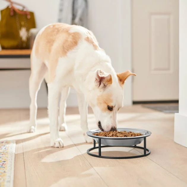 Frisco Elevated Non-skid Stainless Steel Dog & Cat Bowl 5 Frisco Elevated Non-skid Stainless Steel Dog & Cat Bowl - Image 3