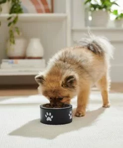 Frisco Paw Print Non-Skid Stainless Steel Dog & Cat Bowl 10 Frisco Paw Print Non-Skid Stainless Steel Dog & Cat Bowl -Dog Cat Corner 277541 PT2. SY630 V1630346506