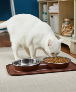 Frisco Double Stainless Steel Dog & Cat Bowl with Silicone Mat 12 Frisco Double Stainless Steel Dog & Cat Bowl with Silicone Mat -Dog Cat Corner 277551 PT3. SY630 V1630348104